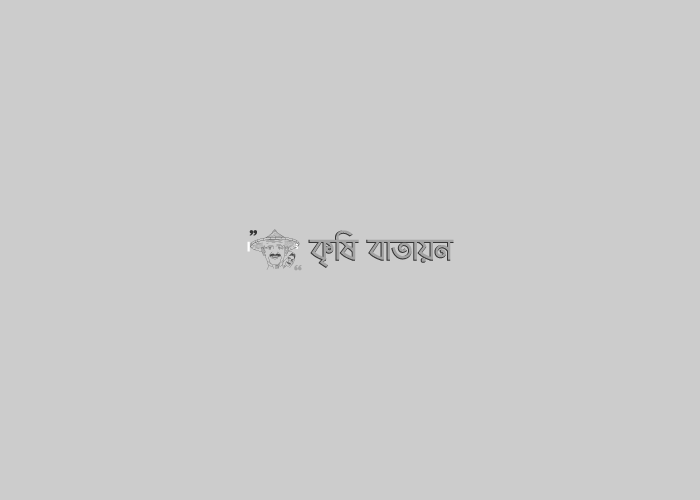 ফান্দ্রাইল আইপিএম ক্লাবের সাফল্য